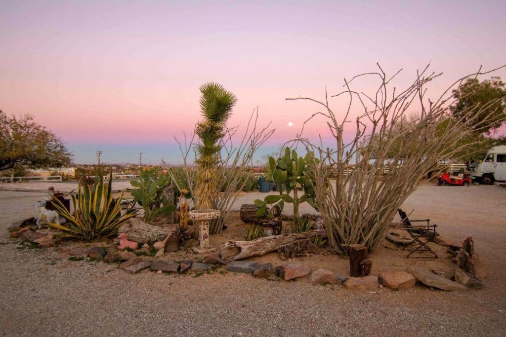 Joshua Tree Ranch House Motel - Downtown - Room #6 Exteriör bild
